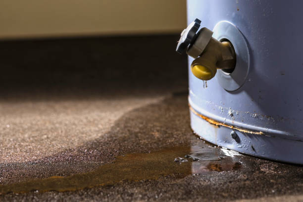 Best Water damage restoration services  in Frederick, MD