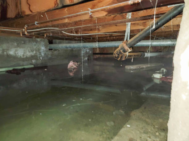 Best Water damage restoration near me  in Frederick, MD