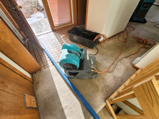 Best Flood restoration services  in Frederick, MD