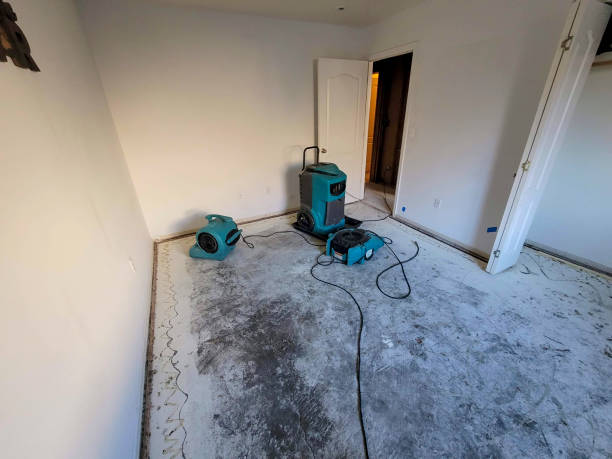 Best Flood damage cleanup  in Frederick, MD