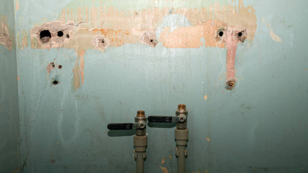 Best 24-hour water damage restoration  in Frederick, MD